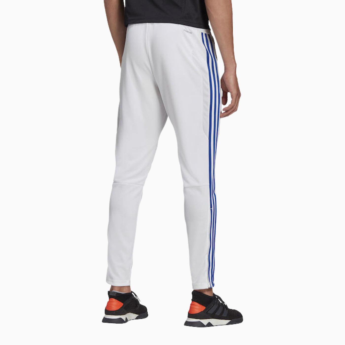 adidas Men's Tiro 19 Training Track Pant