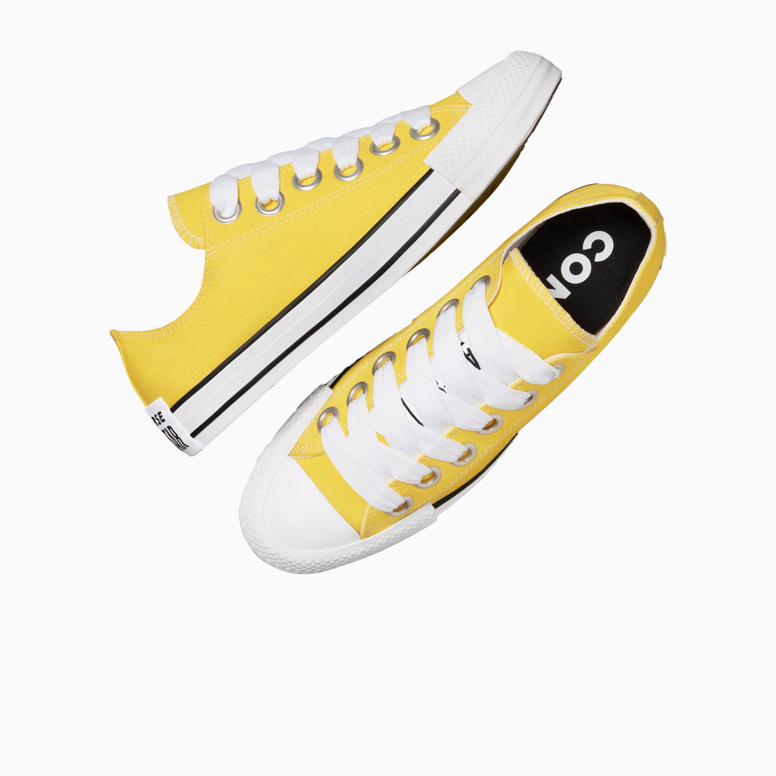 Chuck Taylor All Star Sketch