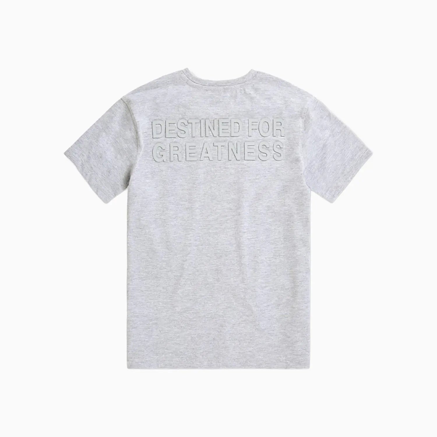 Kid's Destined For Greatness T-Shirt and Shorts Outfit Jordan Craig - Tops and Bottoms USA