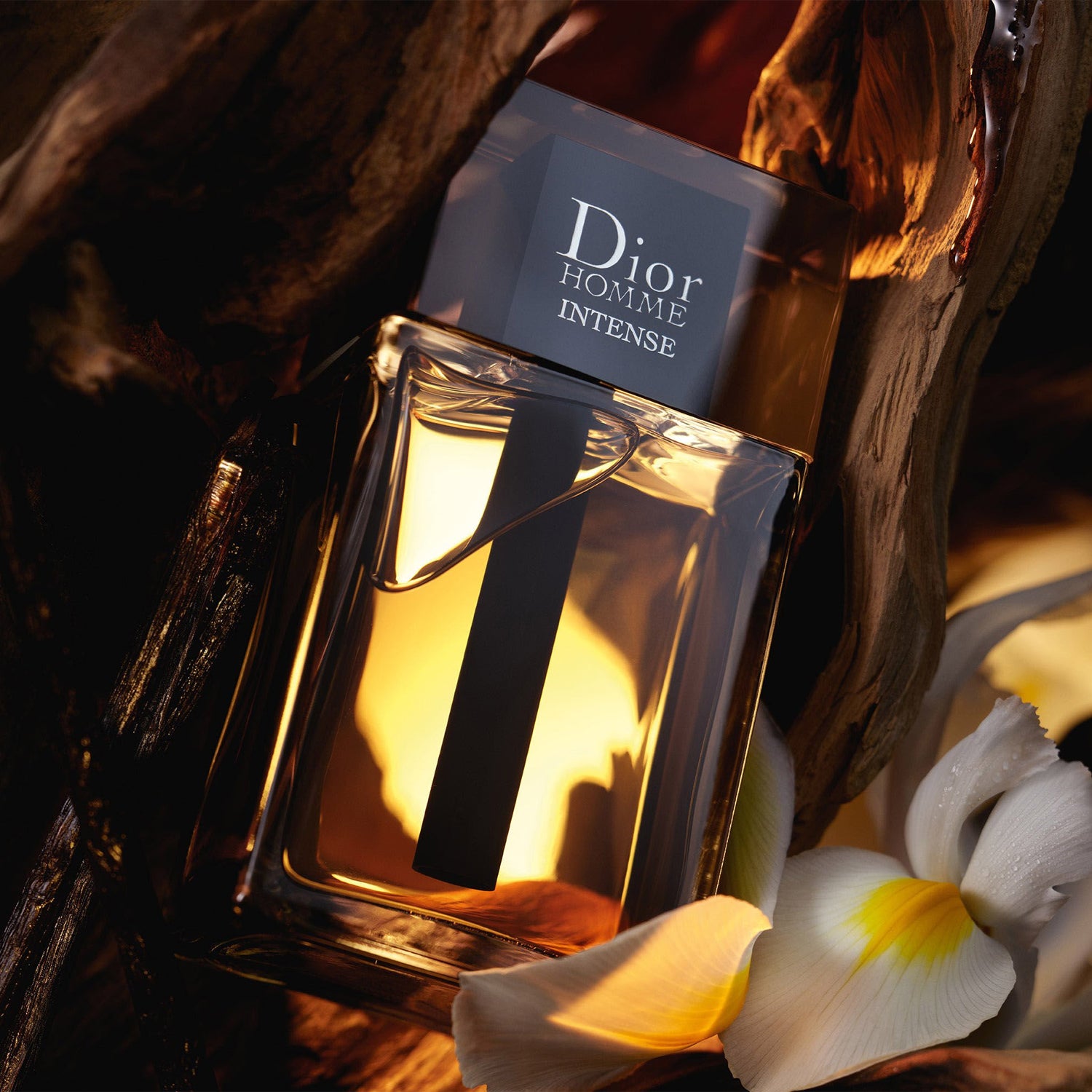 mens-dior-homme-intense-by-christian-dior-edt-spray-3-4-oz-perfume-3348900838185