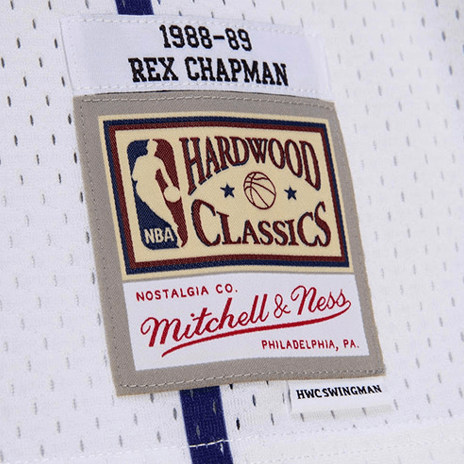 mitchell-ness-swingman-rex-chapman-charlotte-hornets-nba-1988-89-jersey-youth-9n2b7bhm0-horrc-y88